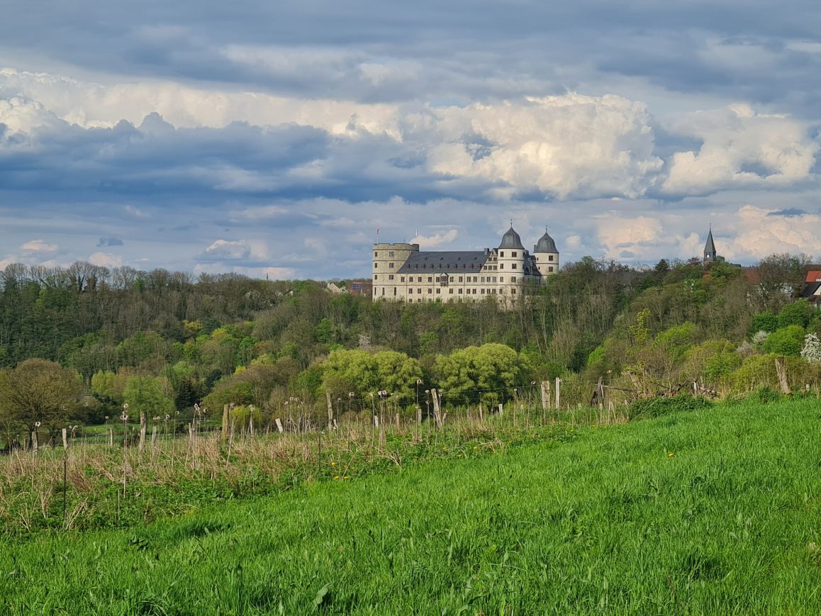 2023-05-01_Andrea Kesseler_1